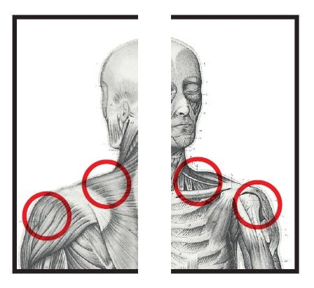 Re+ Techniques - Shoulder Pain