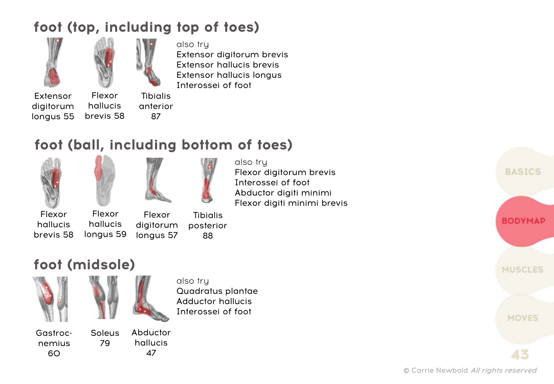 Trigger Your Points Book