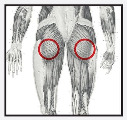 Re+ Techniques - Buttock Pain